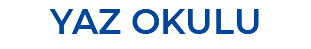 YAZ OKULU